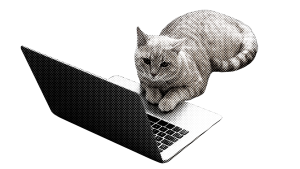 computer cat
