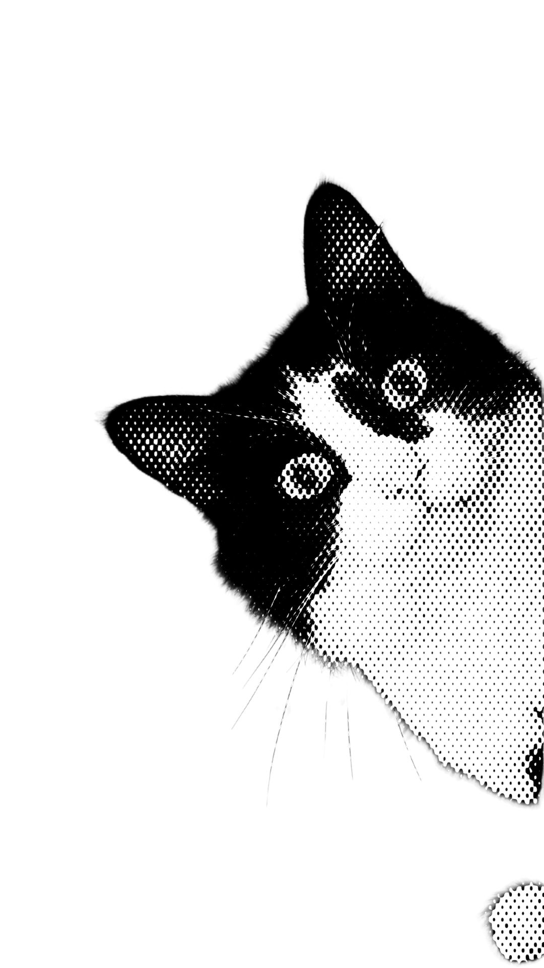 marketing cat marketing cat