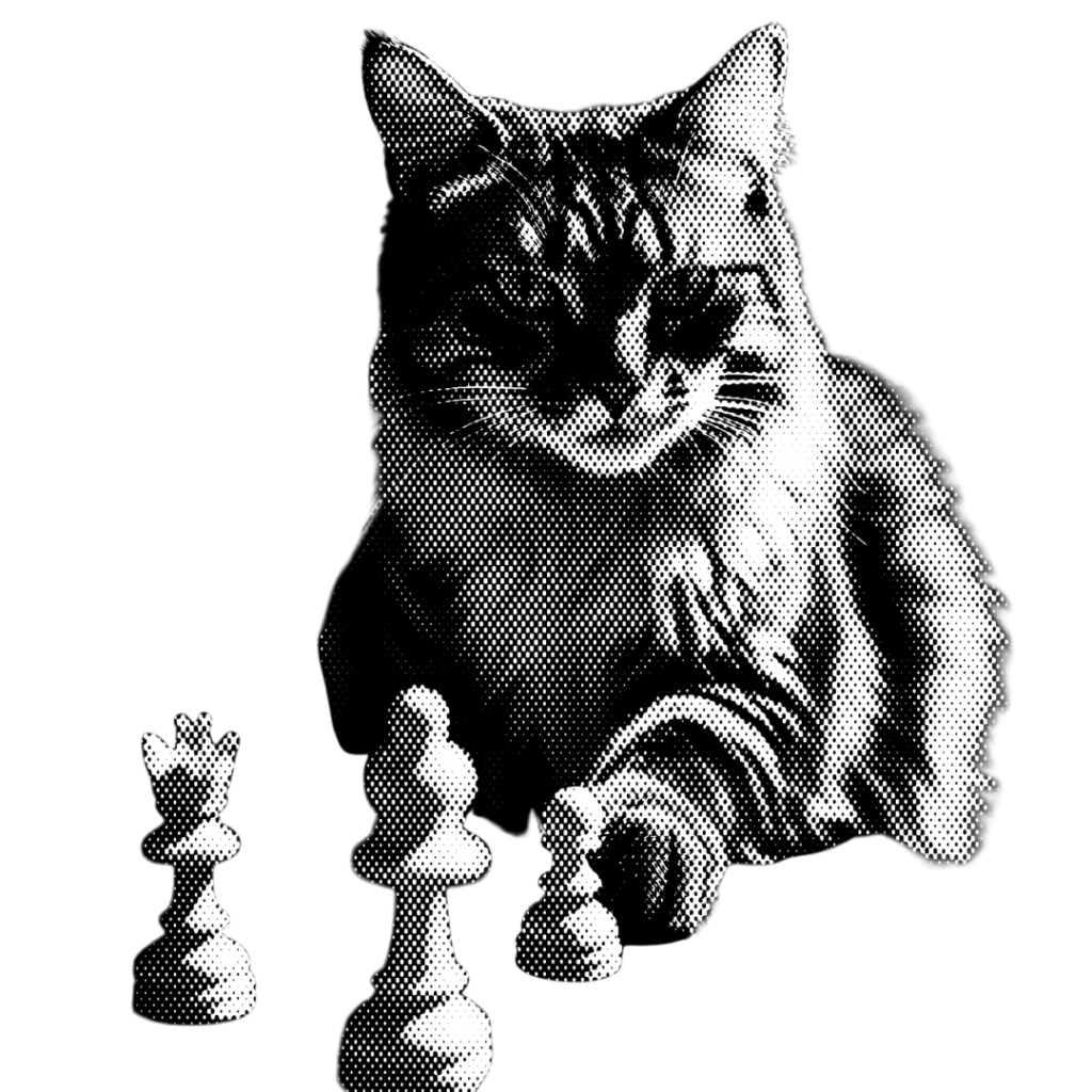 Chess cat